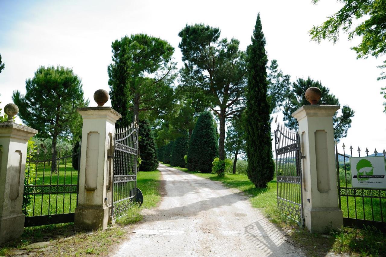 Agriturismo Al Colle Bertinoro Exterior foto